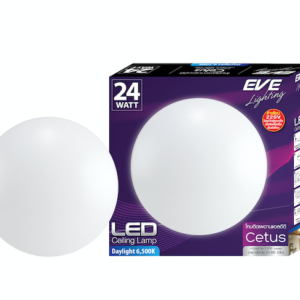 LED Ceiling Lamp Cetus 24w Daylight